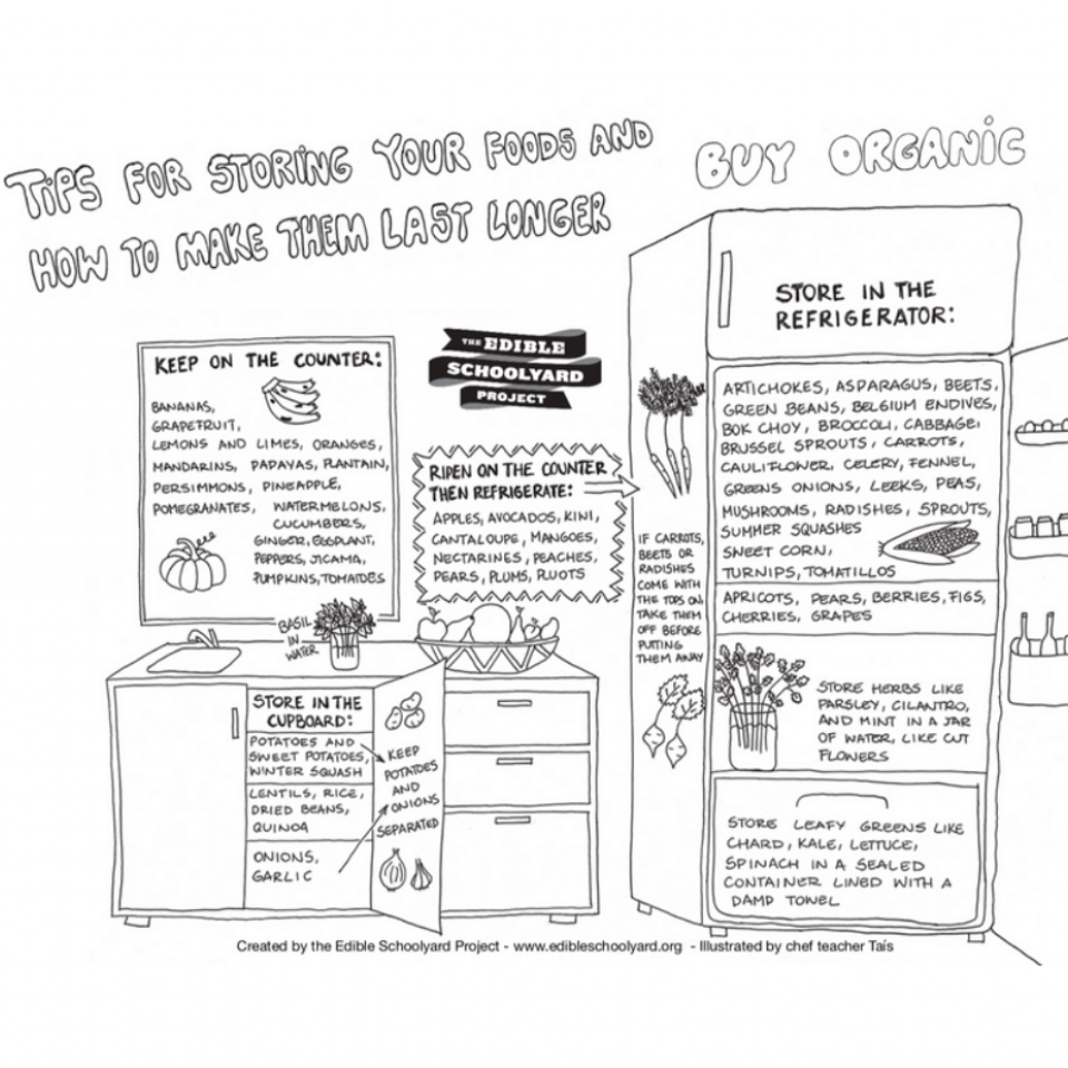 Tips for food storage The Edible Schoolyard Project